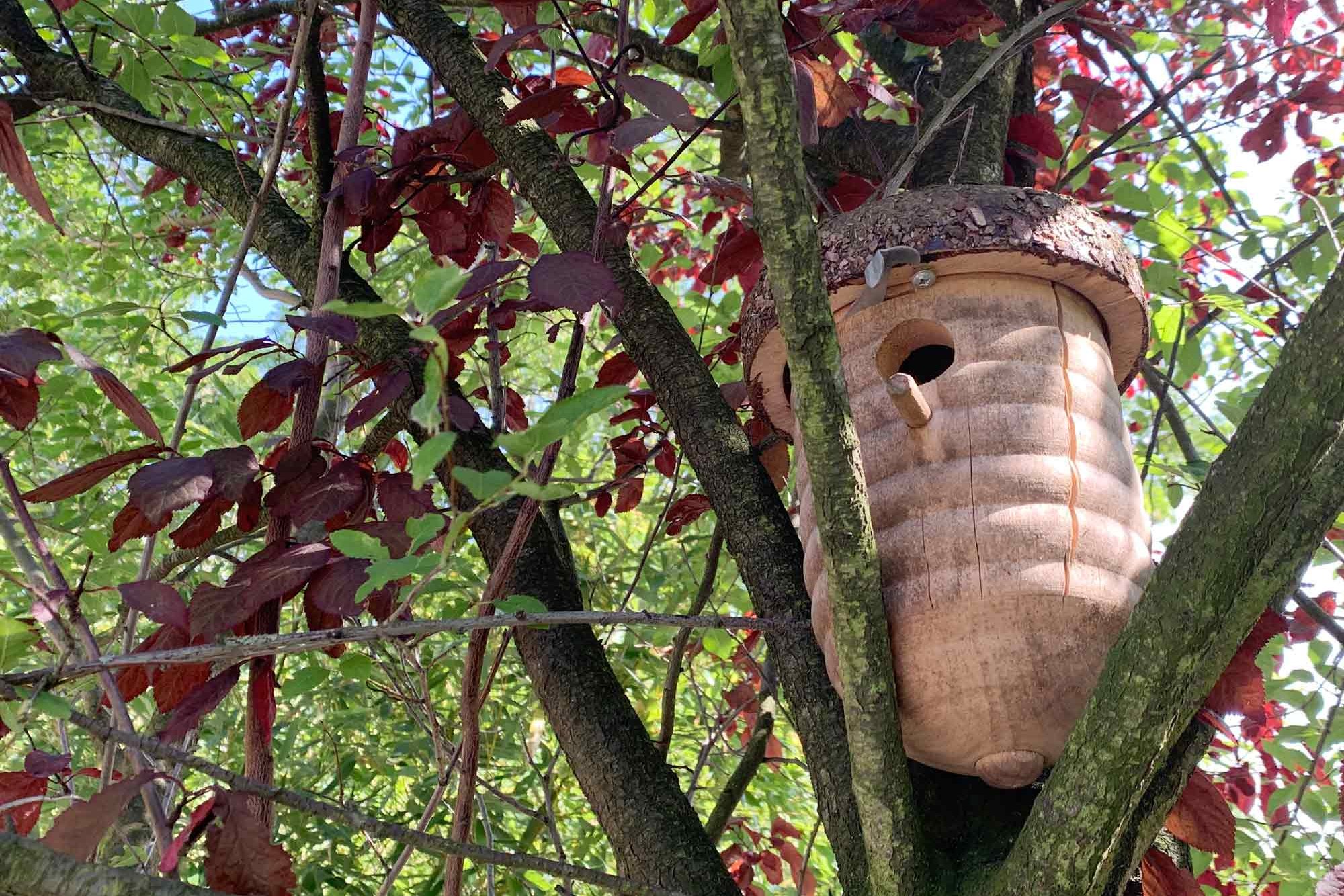  Vogelhaus in einem Baum der Kita KinderCampus.