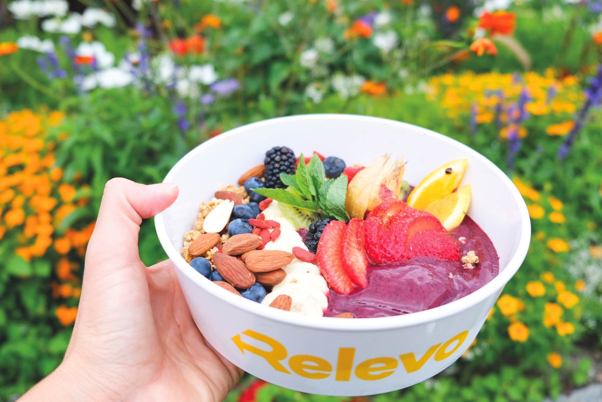 Mehrwegschale mit Joghurt und Früchten Mehrwegschale mit Joghurt und Früchten